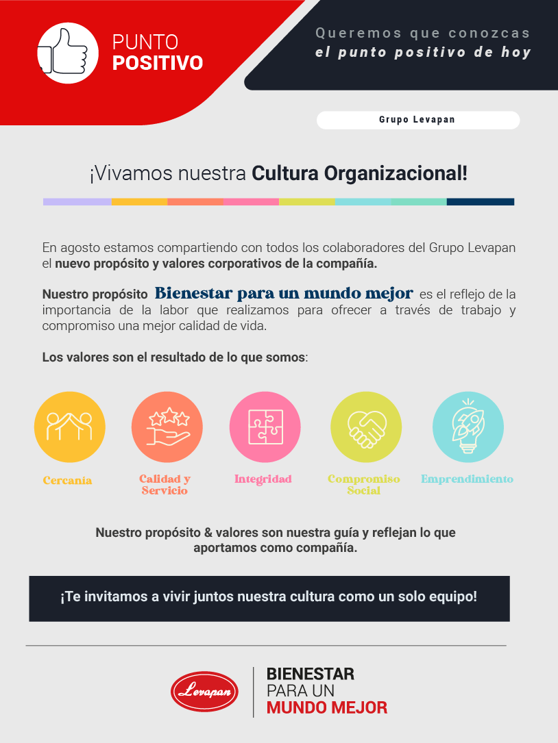 Cultura Organizacional