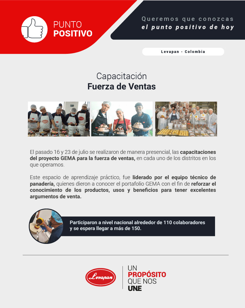 Capacitacion Fuerza de ventas